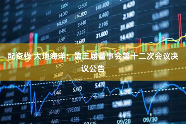配资栈 大地海洋：第三届董事会第十二次会议决议公告