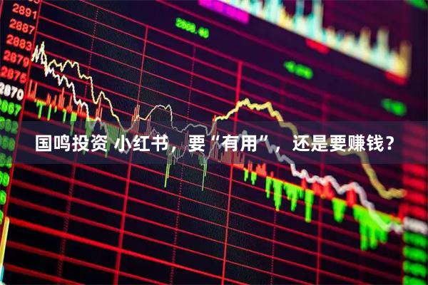 国鸣投资 小红书，要“有用”，还是要赚钱？