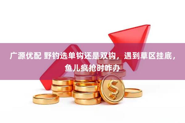 广源优配 野钓选单钩还是双钩，遇到草区挂底，鱼儿疯抢时咋办