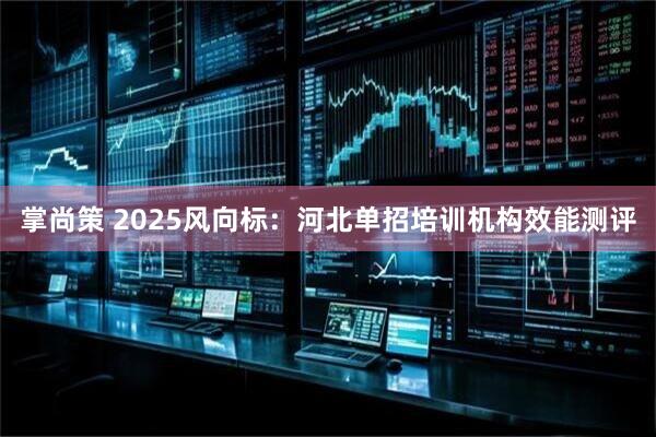 掌尚策 2025风向标：河北单招培训机构效能测评